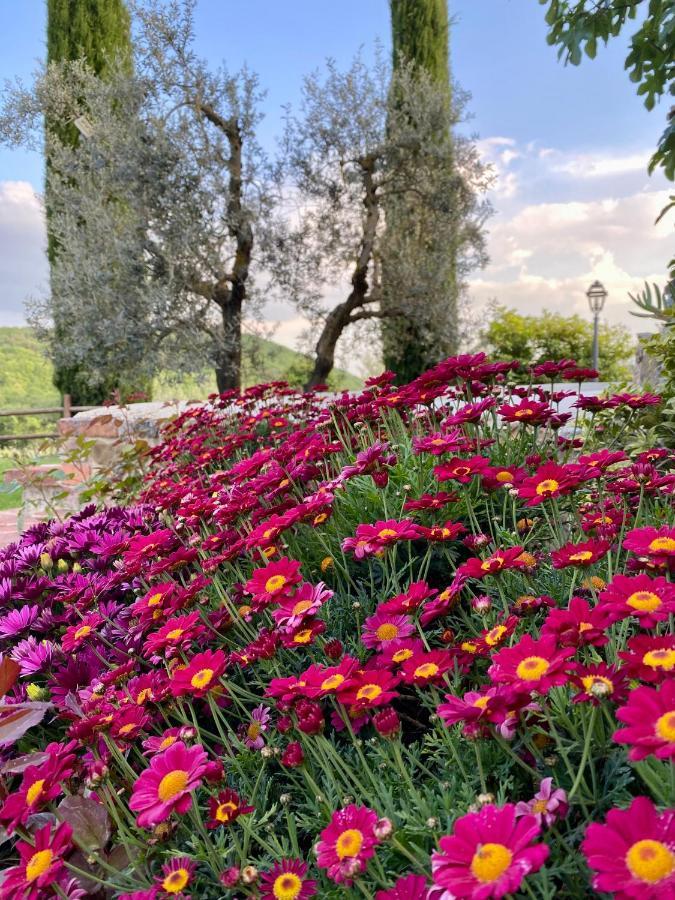 Agriturismo Belagaggio Montefollonico Eksteriør bilde