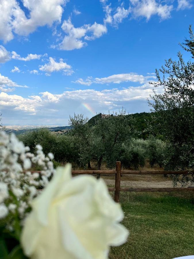 Agriturismo Belagaggio Montefollonico Eksteriør bilde