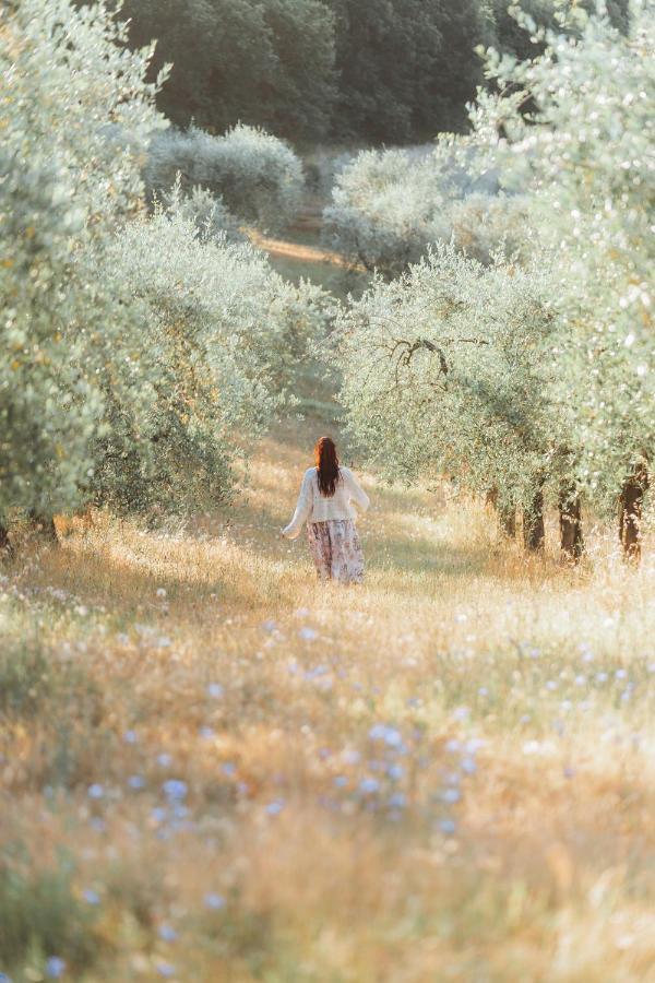 Agriturismo Belagaggio Montefollonico Eksteriør bilde